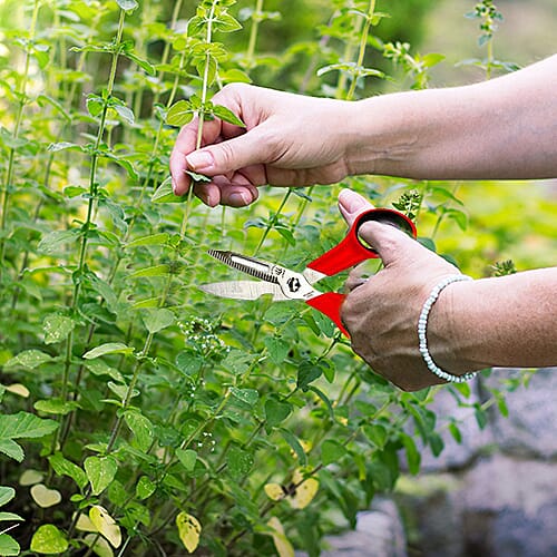 Jardin de France Multi-Function Scissors (L: 20cm)