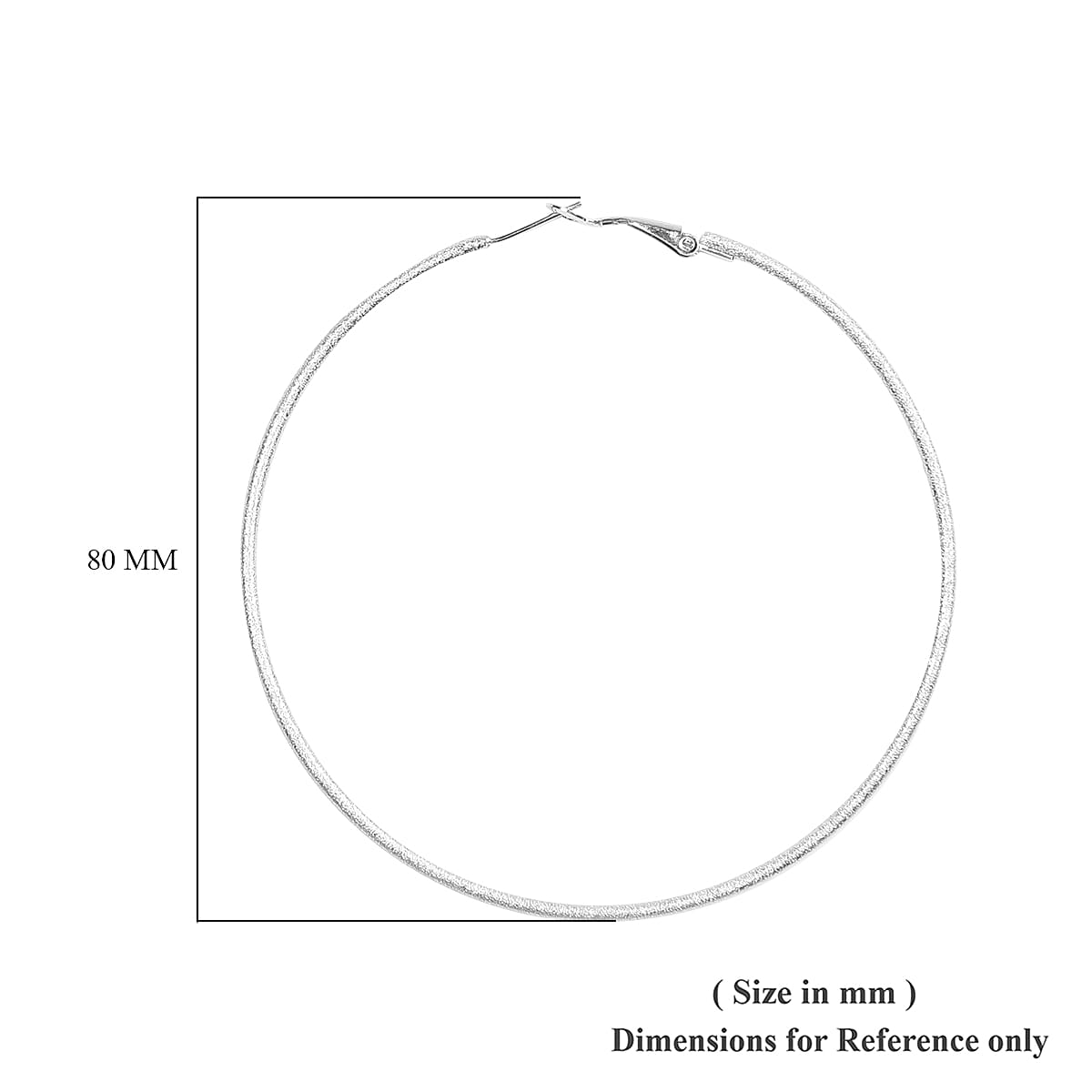 Large Hoop Earrings in Stainless Steel