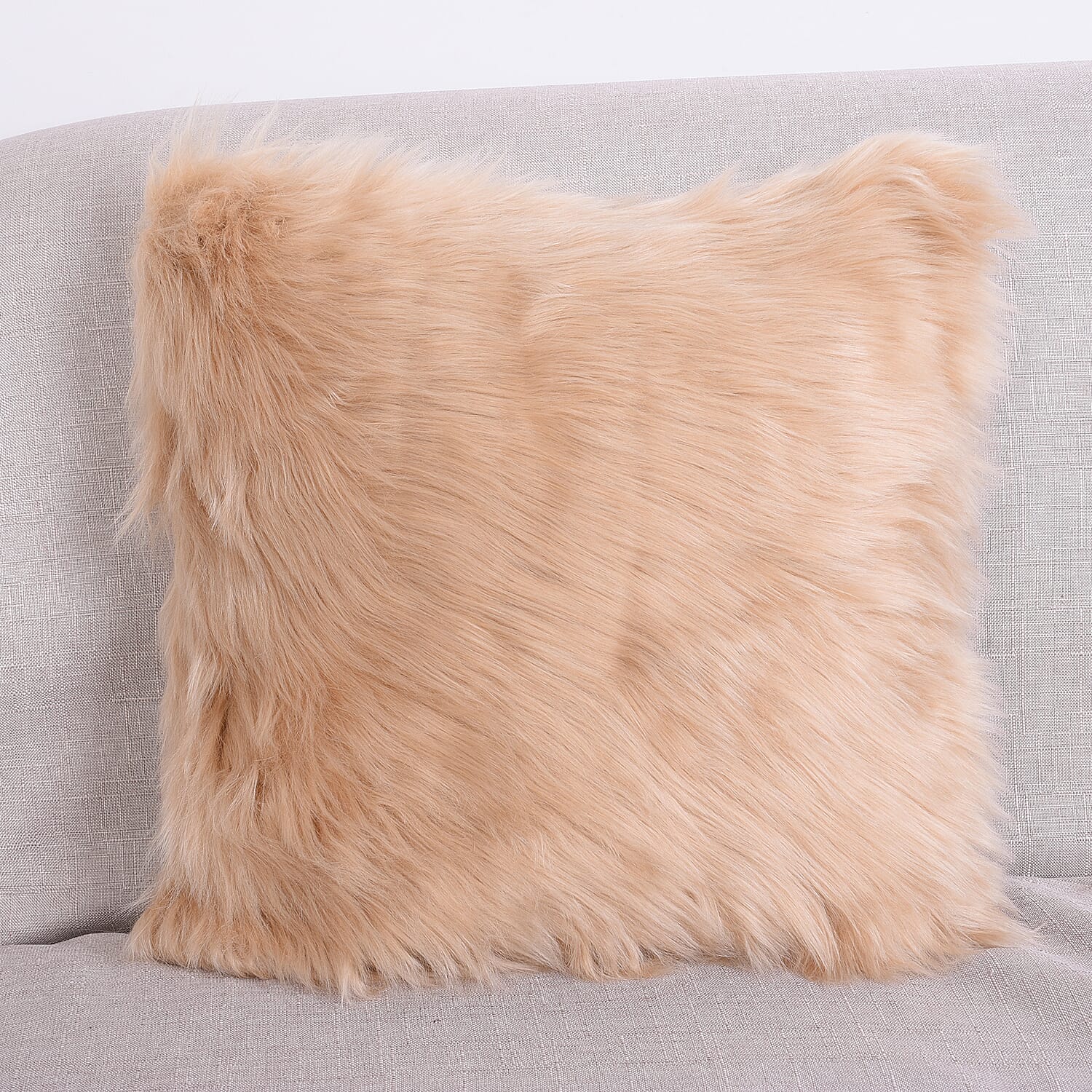 2 Piece Set - Faux Fur Small Rug (100x60cm) with Cushion (45x45cm-1Pc) - Beige