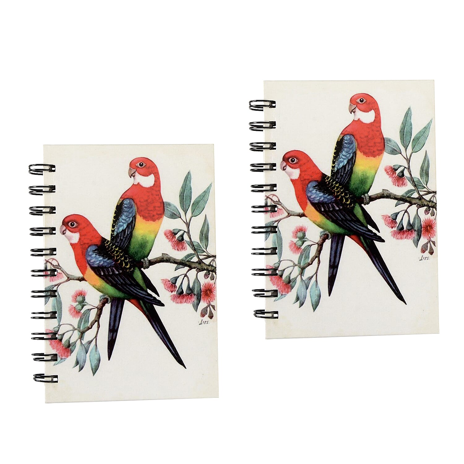 Set of 2 - Glossy Parrot Cover Spiral Notebook (Size 15x10.5 cm) - 120 Pages
