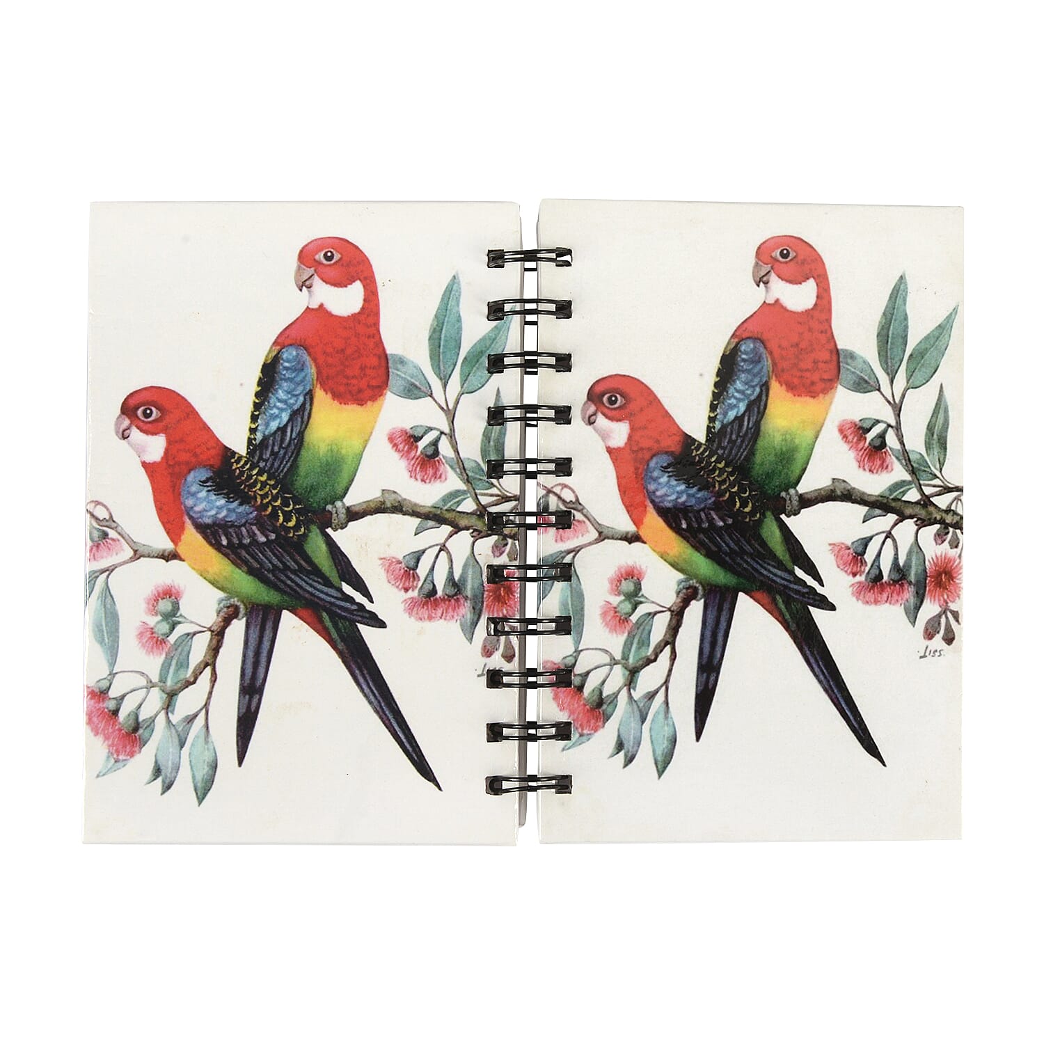 Set of 2 - Glossy Parrot Cover Spiral Notebook (Size 15x10.5 cm) - 120 Pages