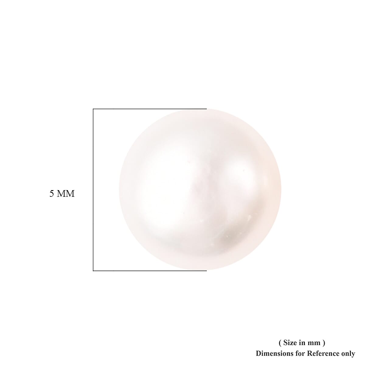 Freshwater Pearl Stud Earrings (with Push Back) in Rhodium Overlay Sterling Silver