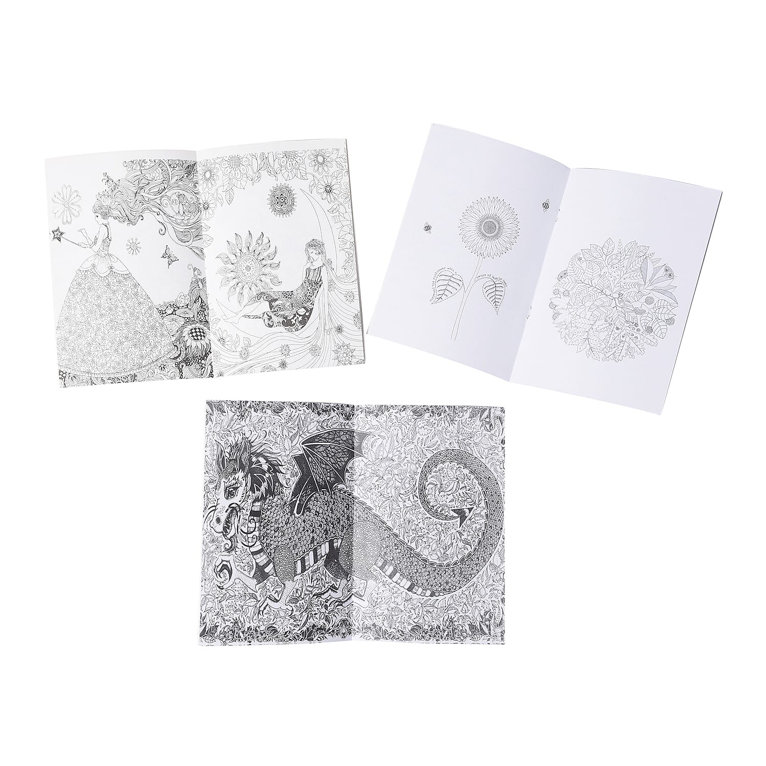 Set of 7 - Six Colouring Books with a Box of 24pcs Crayons (Fairy Tales and Magical Dreams, Secret Garden and Enchanted Forest)