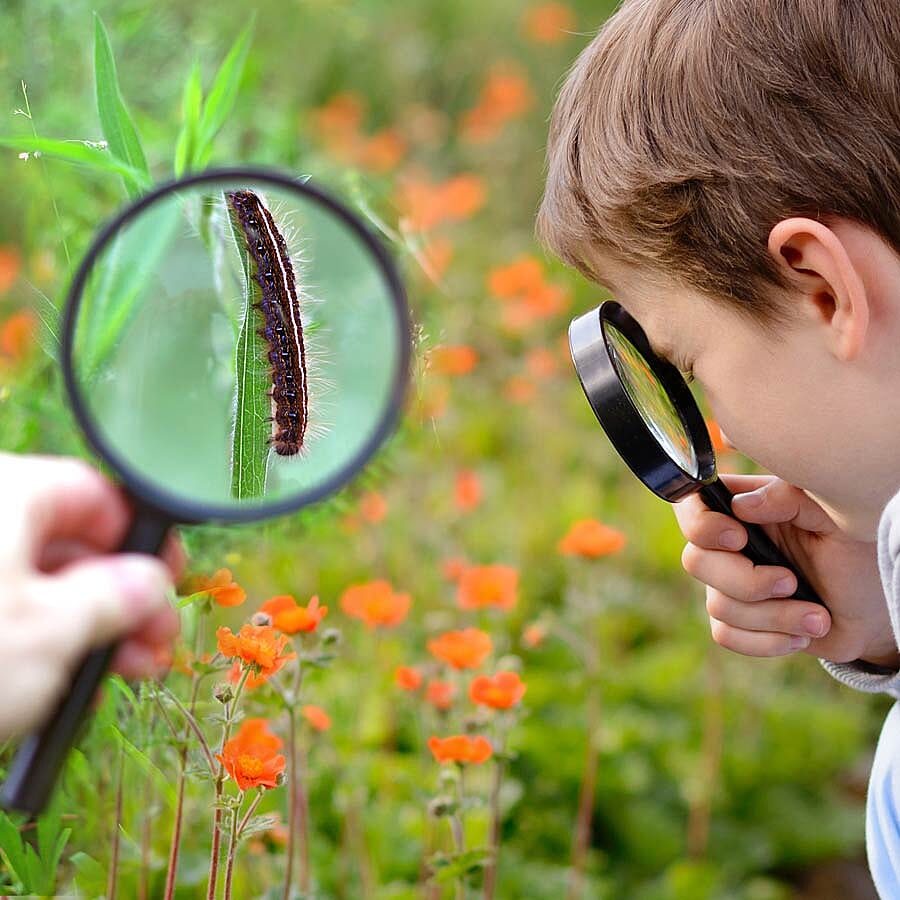 Binoculars, Flashlight, Compass, and Magnifying Glass