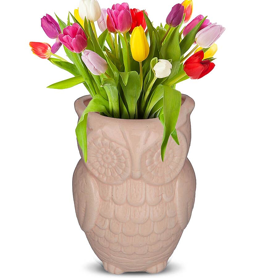 Owl Design Ceramic Multipurpose Holder (Size 19x9cm) - Light Pink