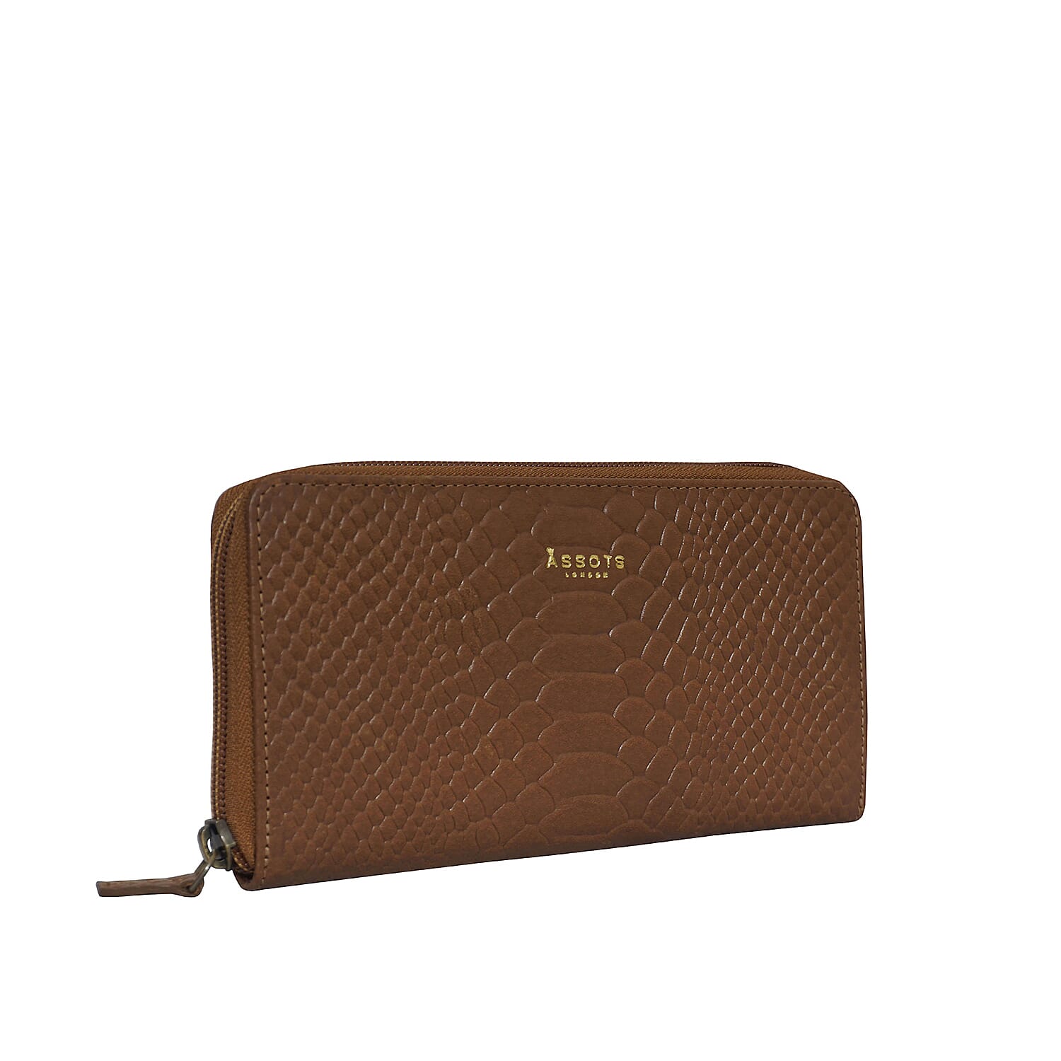 Assots London HAZEL Python Embossed Genuine Leather RFID Zip Around Purse (Size 20x2x10 Cm) - Black