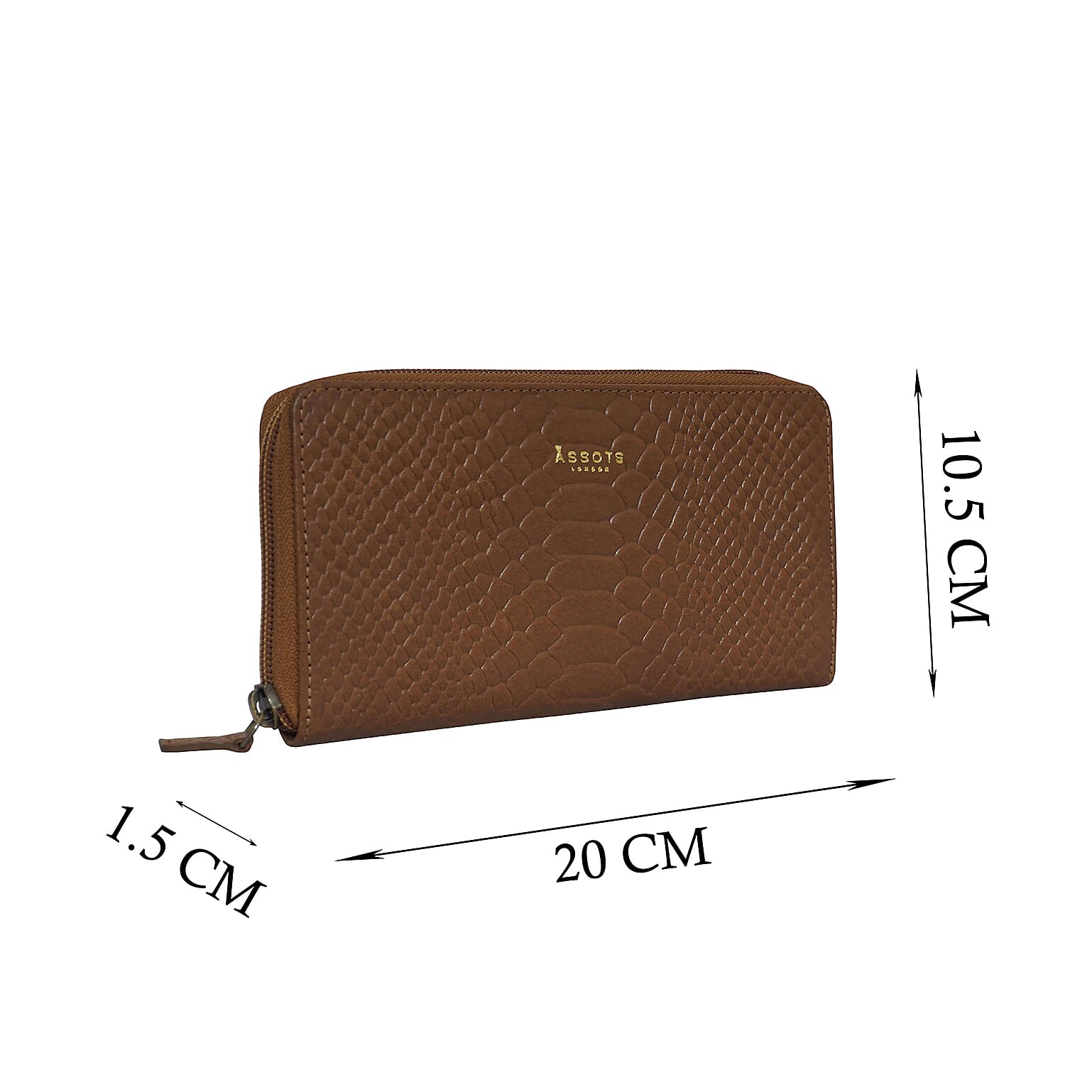 Assots London HAZEL Python Embossed Genuine Leather RFID Zip Around Purse (Size 20x2x10 Cm) - Black