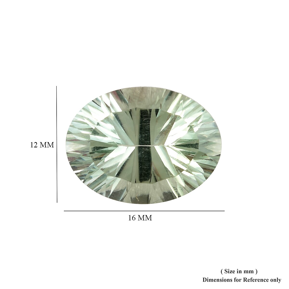 AAA Prasiolite Oval 15.93x12.05x8.53 Concave 8.40 Cts