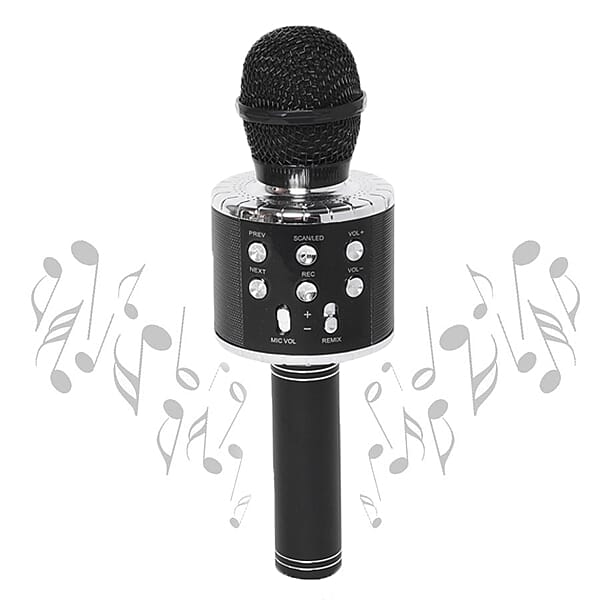 TV Special - Wireless Rechargable Karaoke Microphone with Bluetooth Speaker (Size 23 Cm) - Black