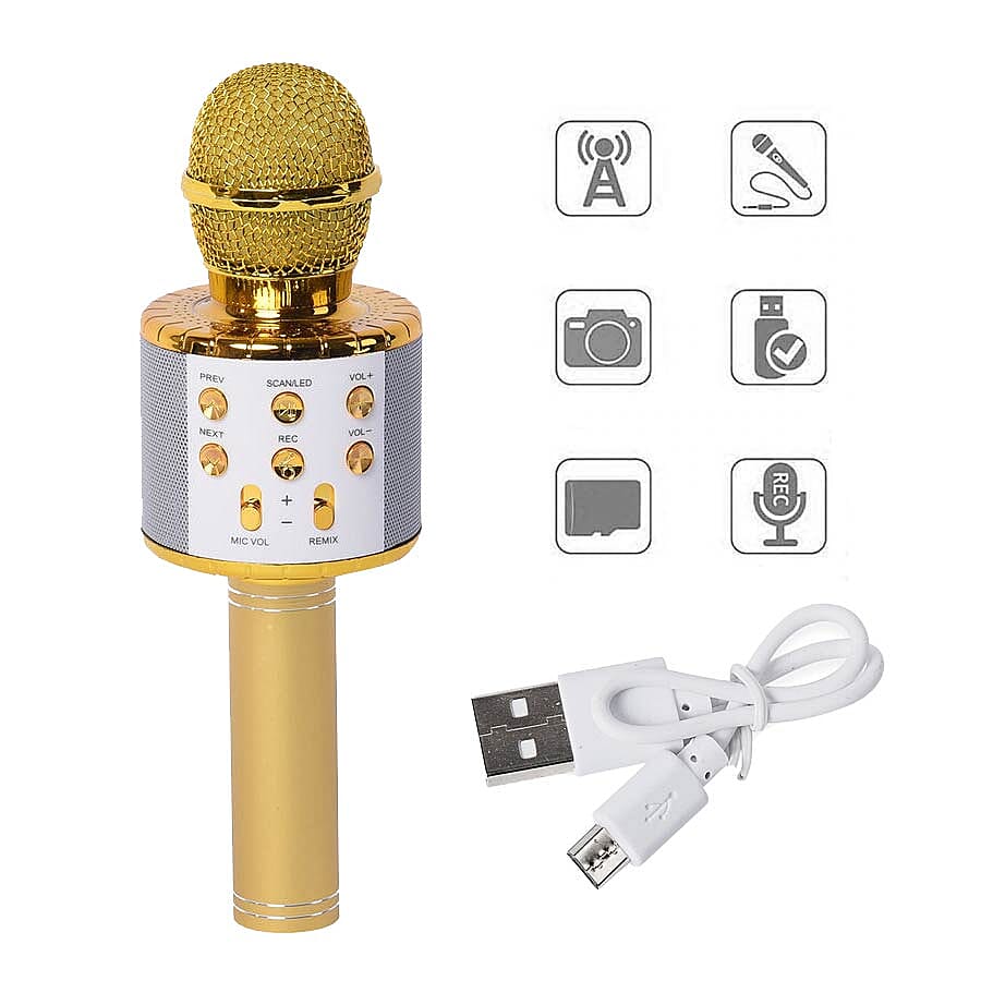 Smart Karaoke Mic with Multi Features in Gold Colour