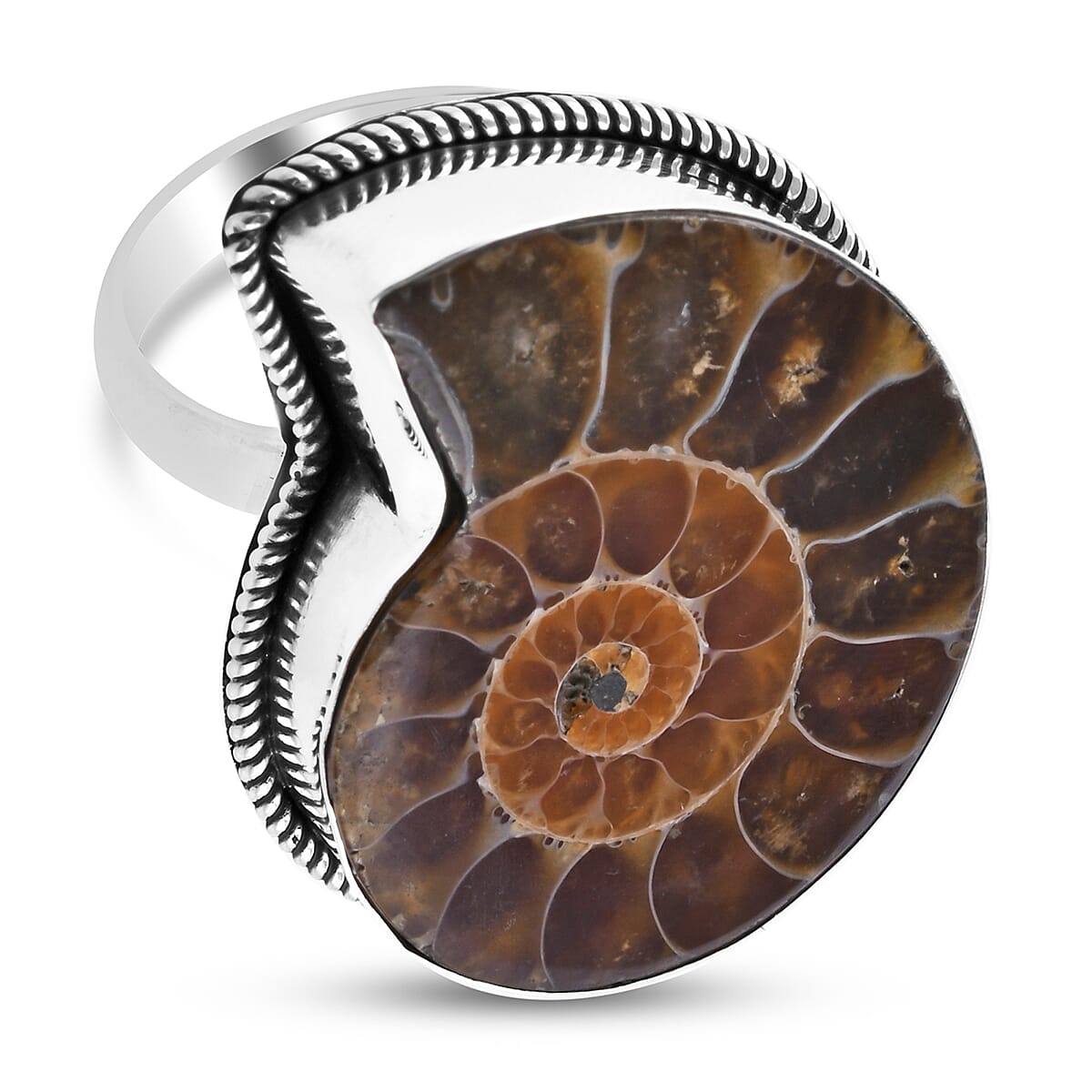Royal Bali Collection - Ammonite Ring in Sterling Silver, Silver wt 4.90 Gms
