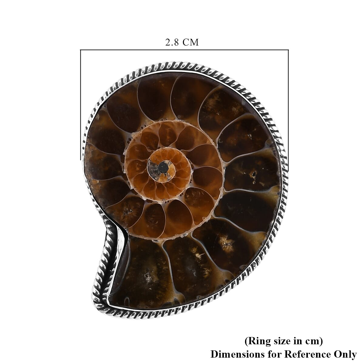 Royal Bali Collection - Ammonite Ring in Sterling Silver, Silver wt 4.90 Gms