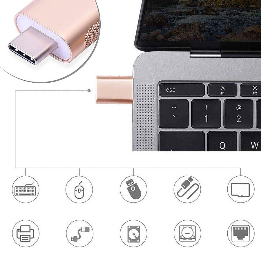 Set of 2 Type-C USB Adapter in Gold Colour