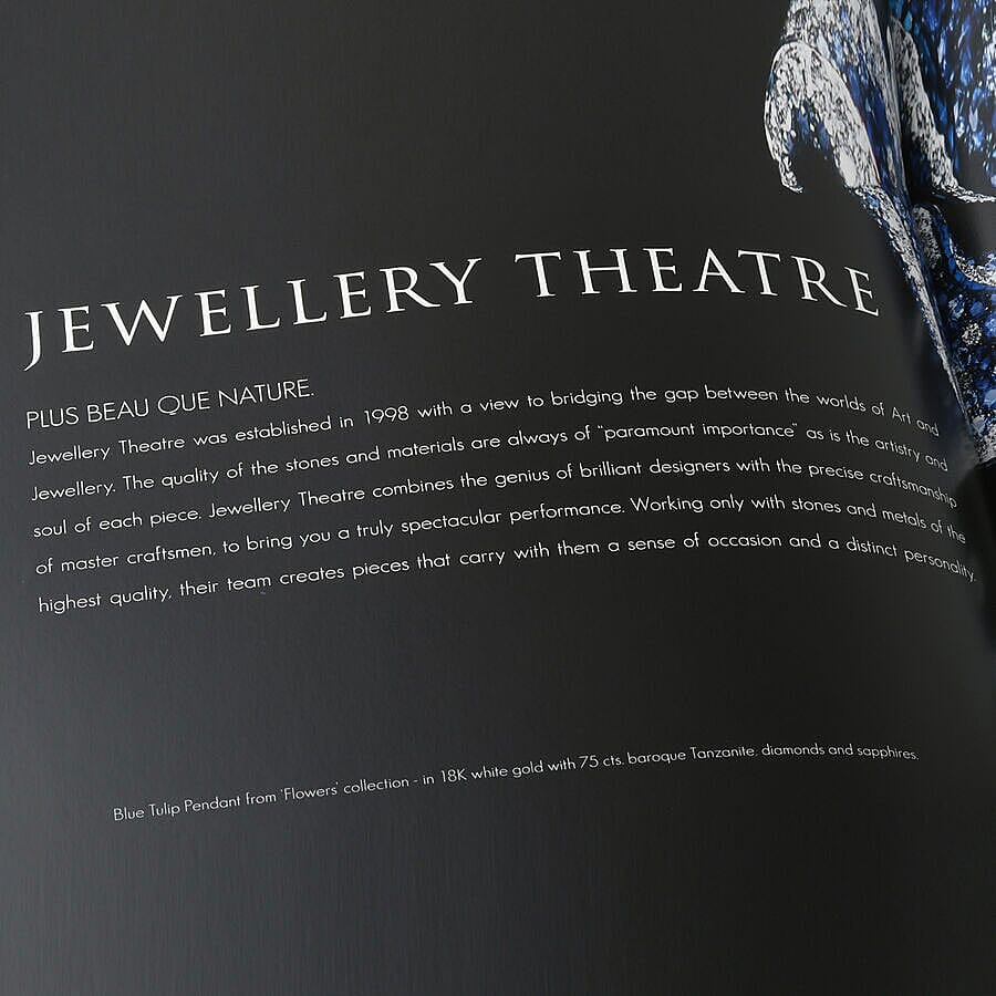 Tanzanite-Born from Lightning Book