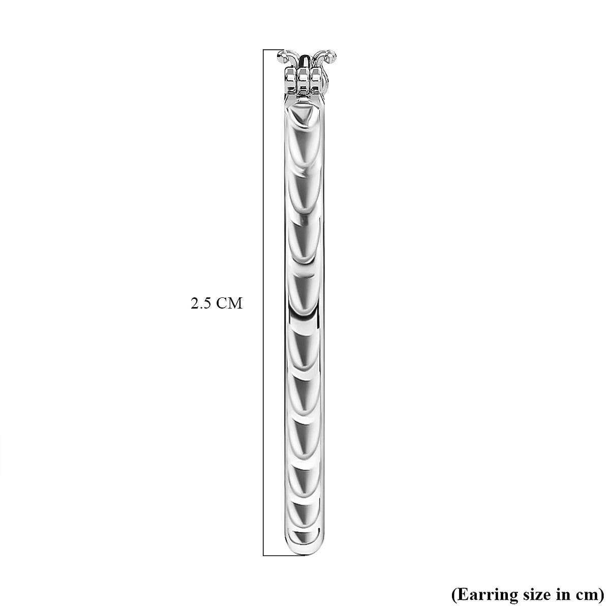 Sterling Silver Hoop Earrings with Clasp