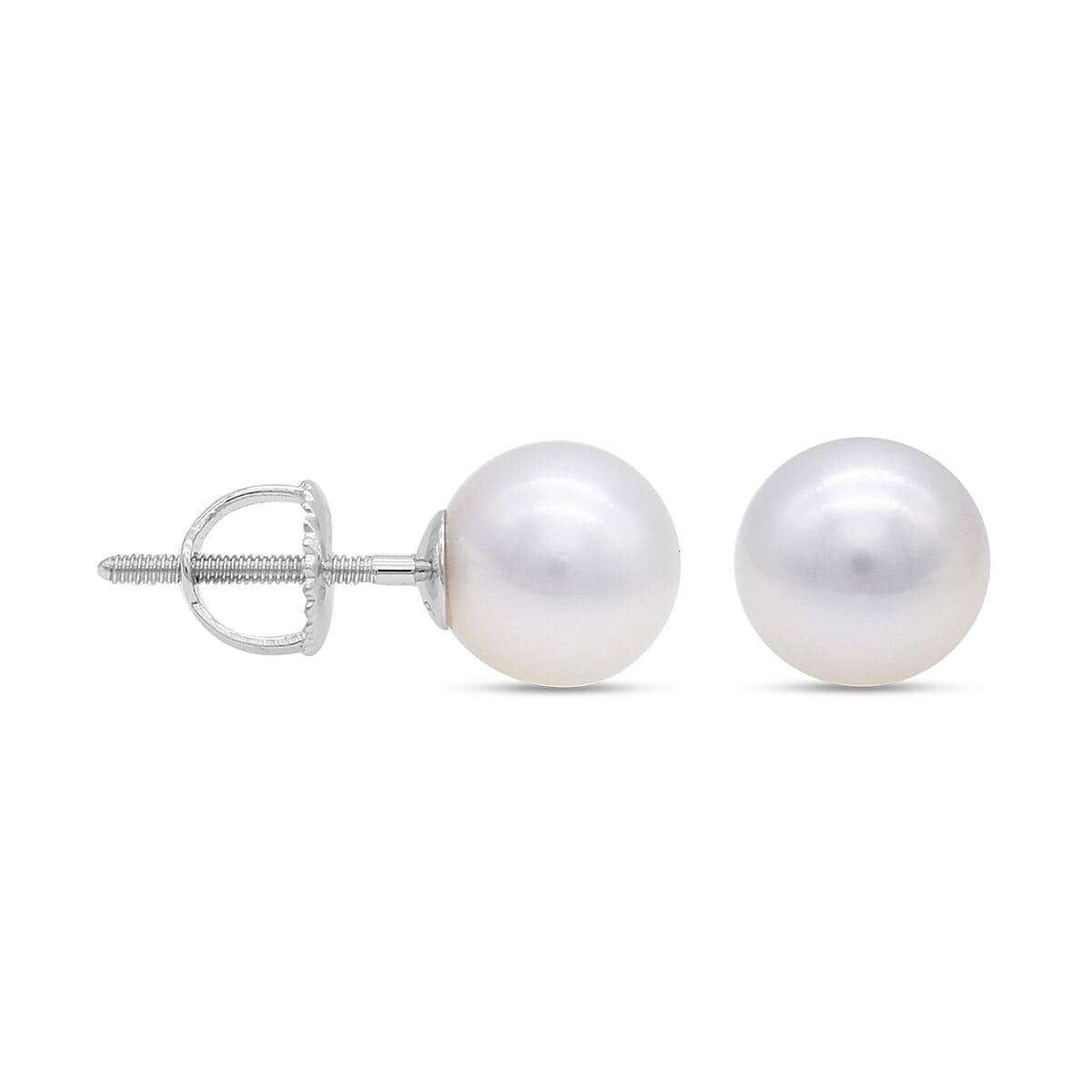 RHAPSODY 950 Platinum Japanese Akoya Pearl Ball Stud Earrings (with Screw Back) 7.5-8mm