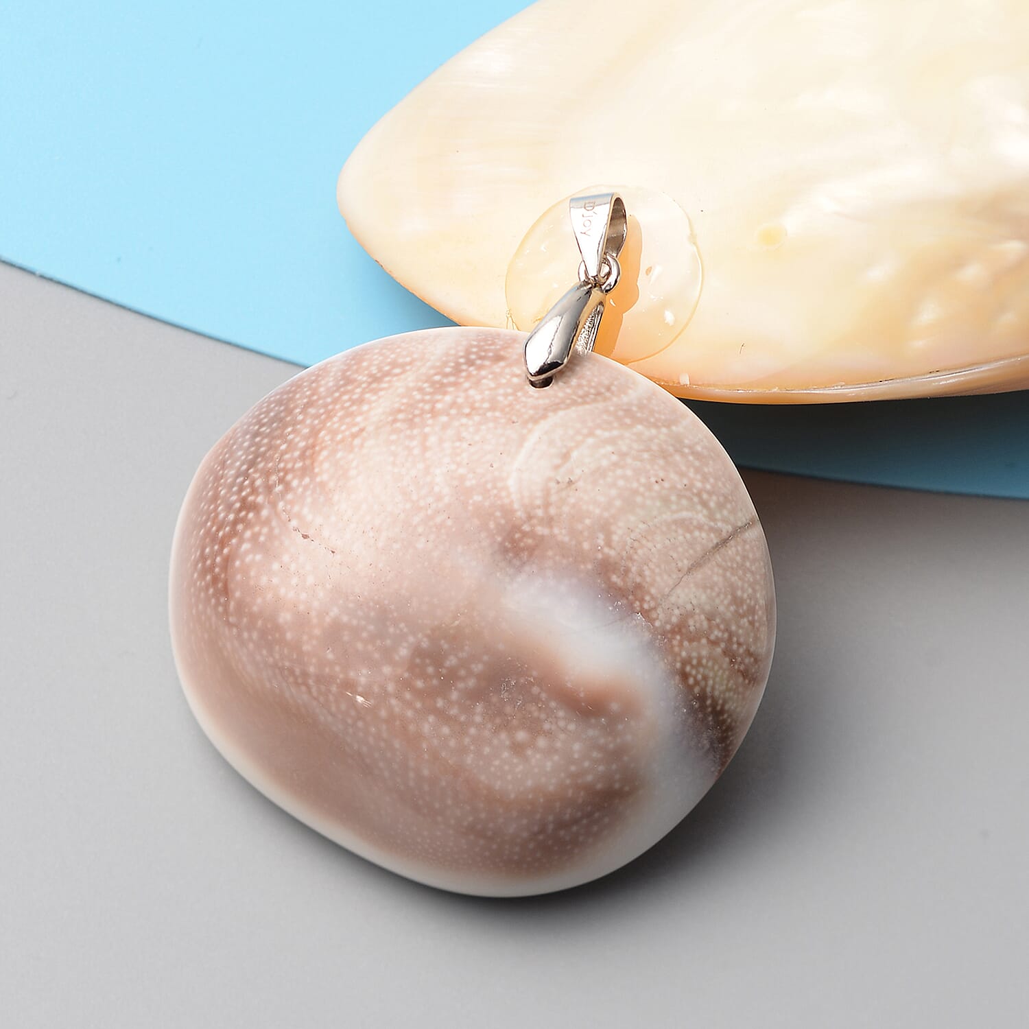 Fossil Shell Pendant in Rhodium Overlay Sterling Silver