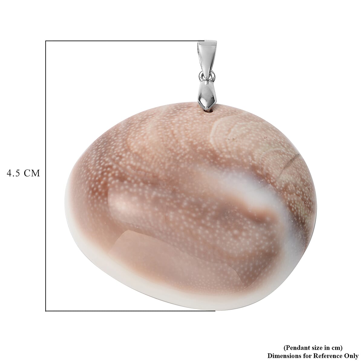 Fossil Shell Pendant in Rhodium Overlay Sterling Silver