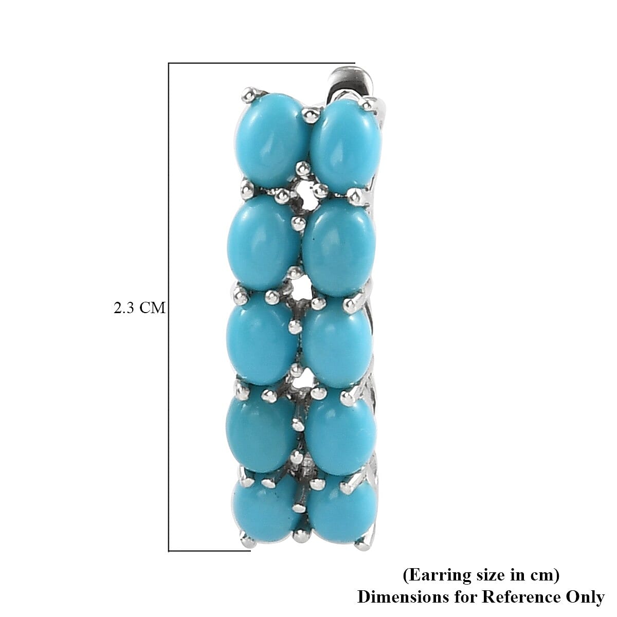 Arizona Sleeping Beauty Turquoise Earrings in Platinum Overlay Sterling Silver 3.000 Ct.