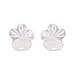 White Shell Pearl Sea Shell Stud Earrings