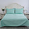 TJC Launch Pinsonic Quilt (Size King) and 2 Pillow Case in Mint