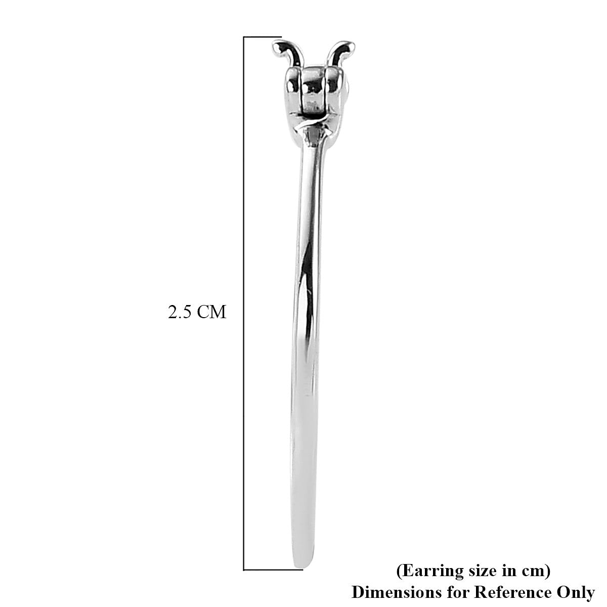 950 Platinum Hoop Earrings