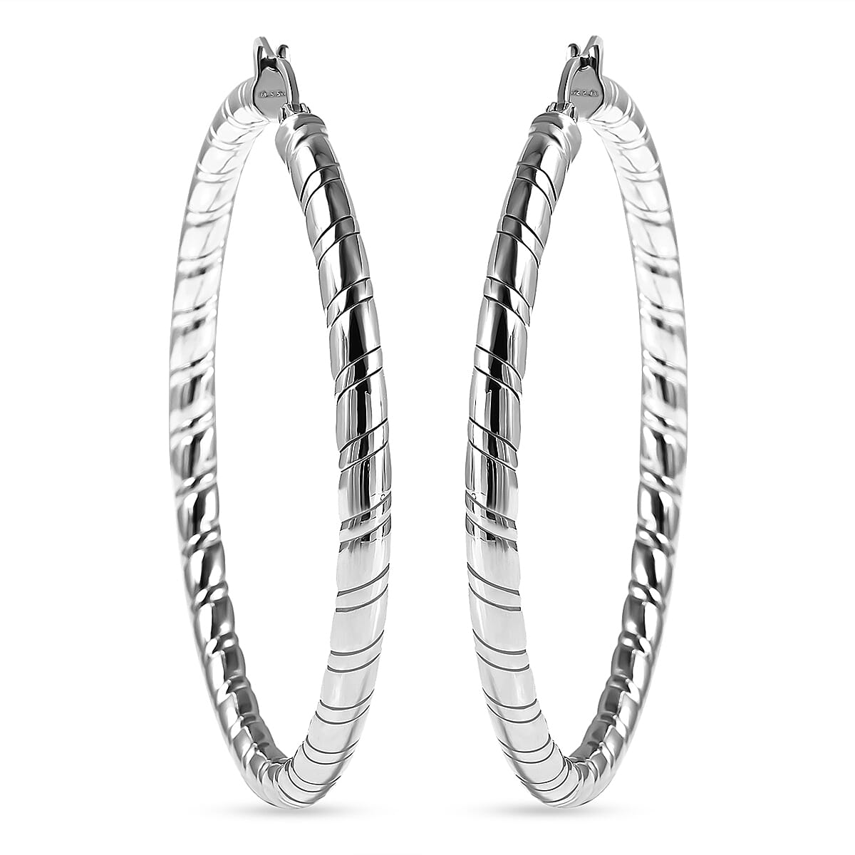 Earrings (With Hoop) in Stainless Steel