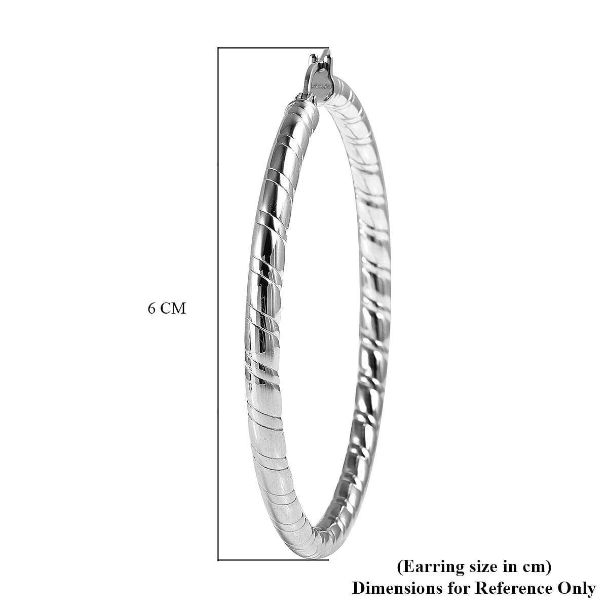 Earrings (With Hoop) in Stainless Steel