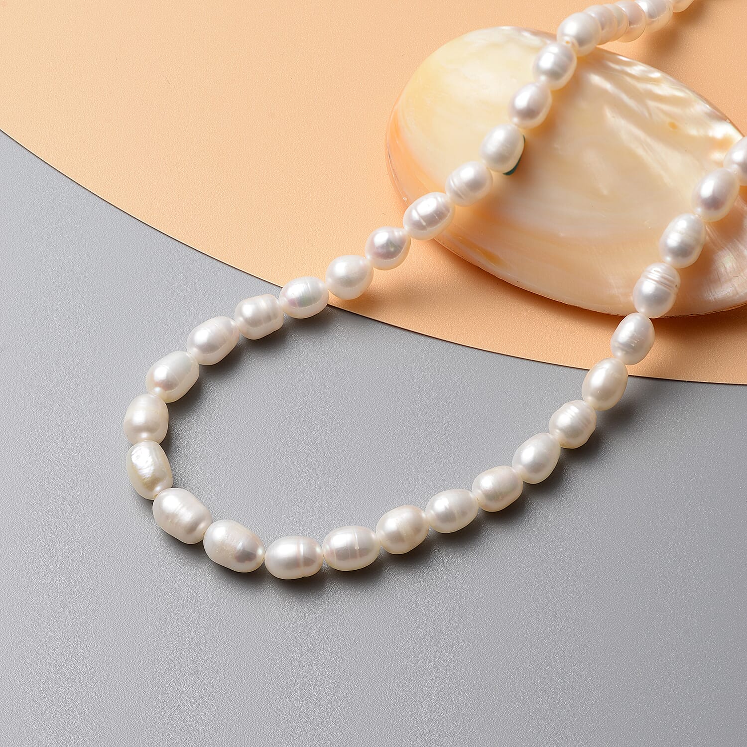 Freshwater Pearl Necklace (Size - 16) in Stainless Steel