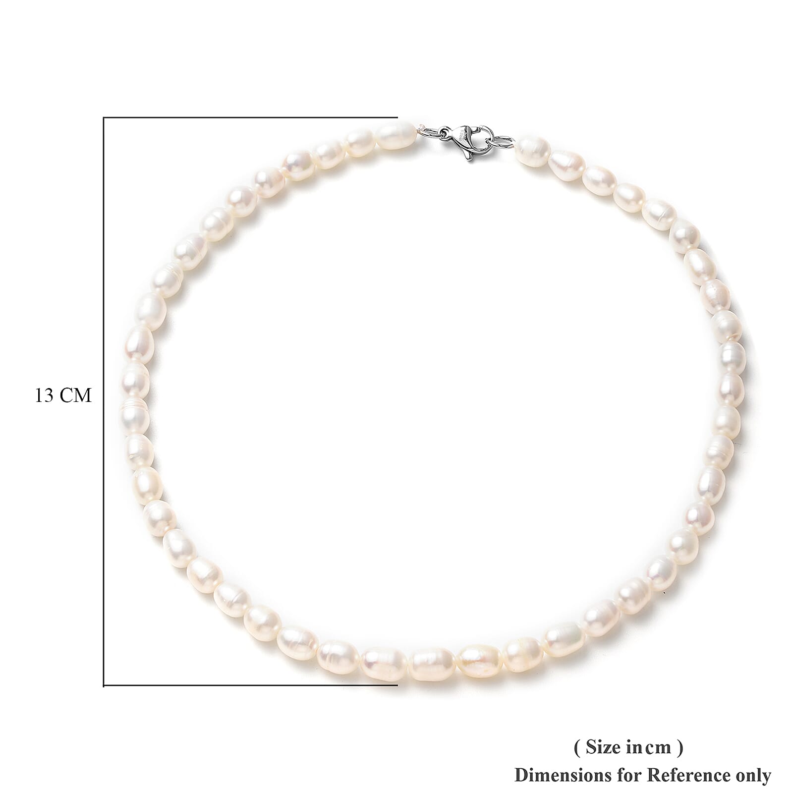 Freshwater Pearl Necklace (Size - 16) in Stainless Steel