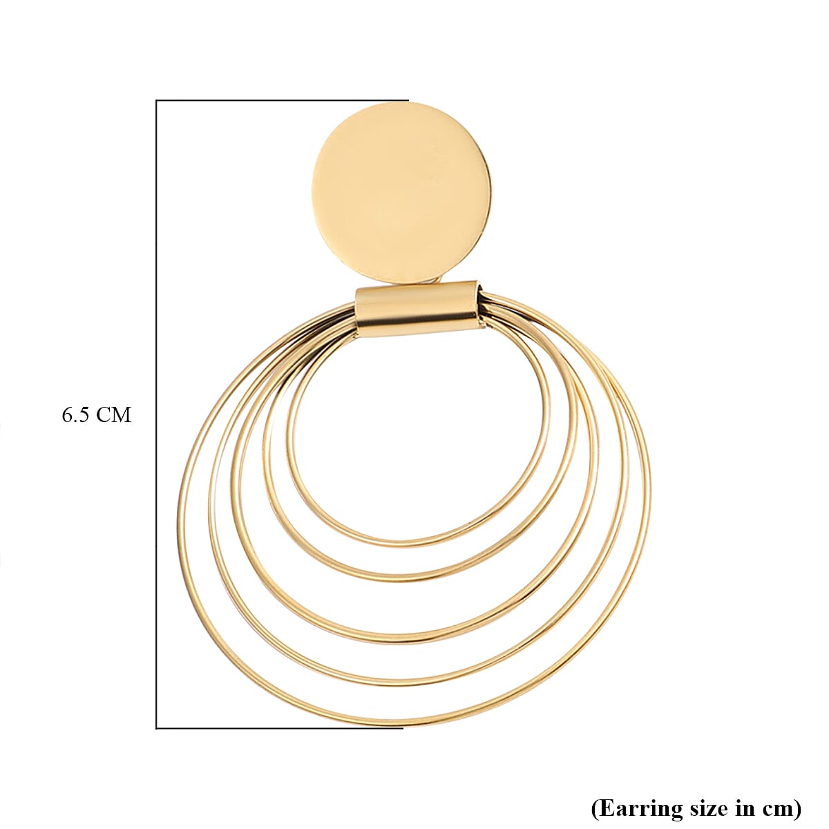 Earrings (With Push Back) in Yellow Gold Tone