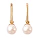 Japanese Akoya Pearl Earrings in Yellow Gold Plated Sterling Silver