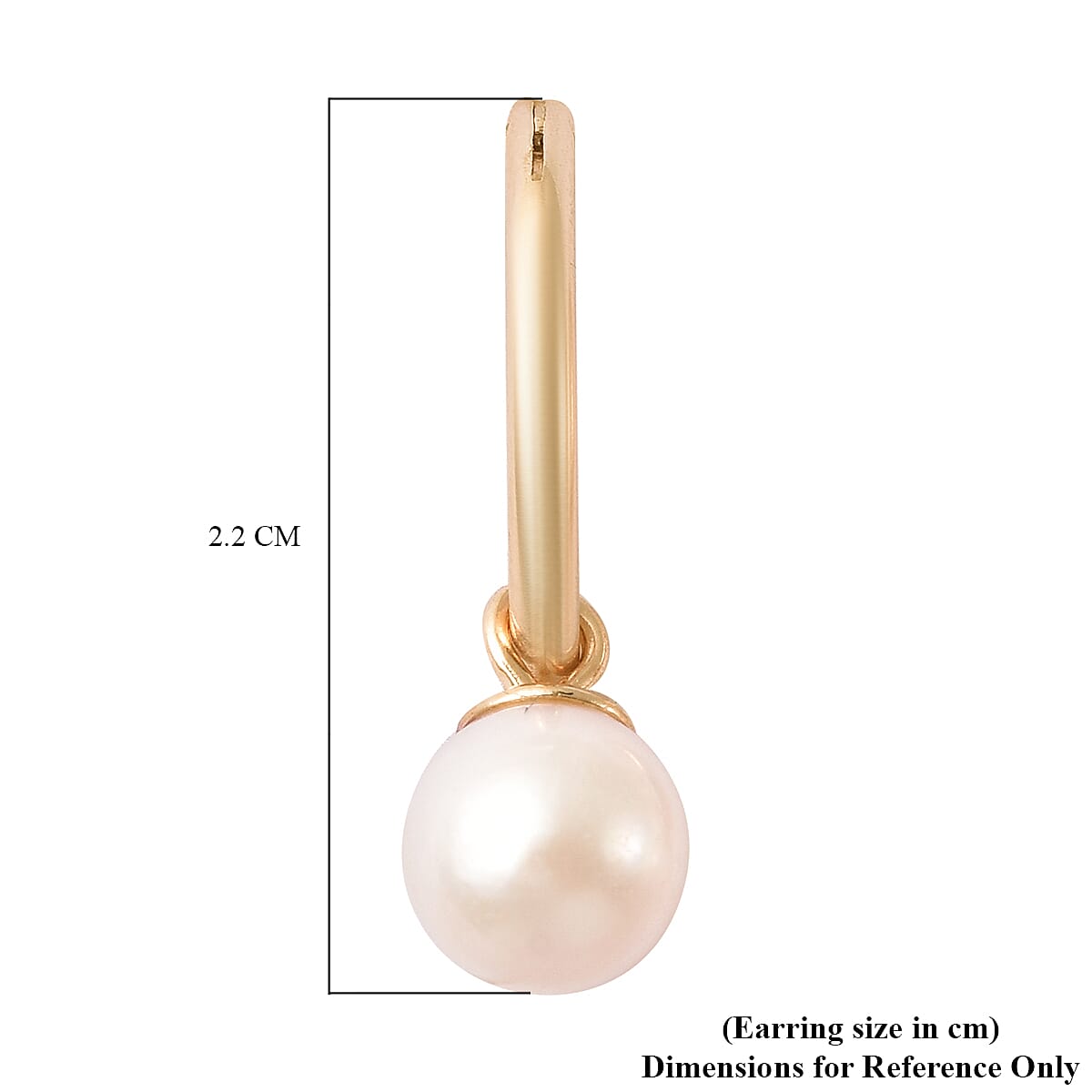 Japanese Akoya Pearl Hoop Earrings in Yellow Gold Overlay Sterling Silver