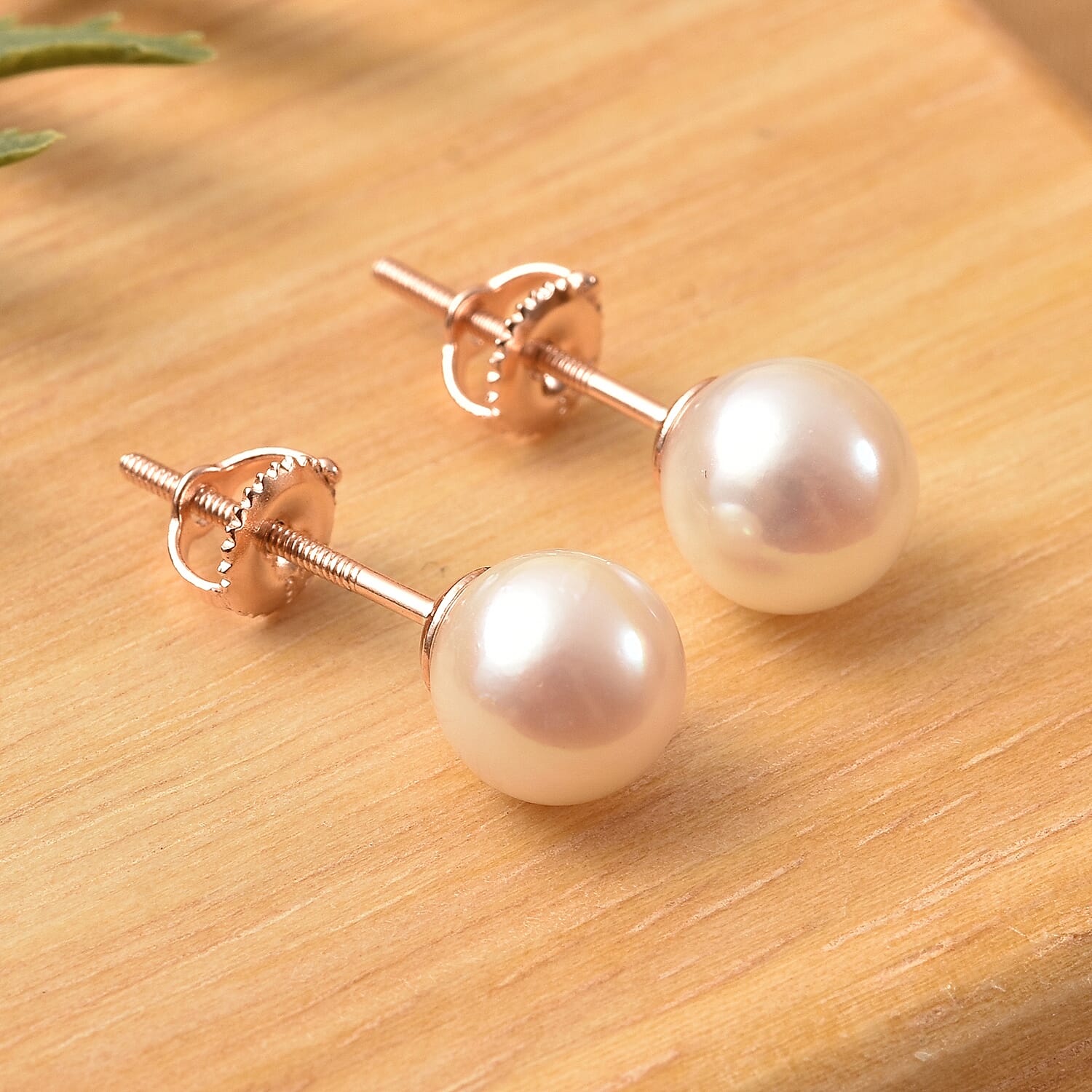 Japanese Akoya Pearl Ball Stud Earrings (with Screw Back) in Rose Gold Overlay Sterling Silver