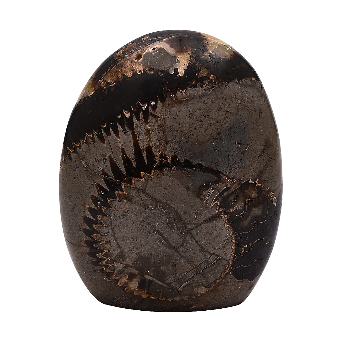 Tucson Rare Finds - Polished Natural Dragon Skin Septarian Freeform Figurine - 4250 Ct.