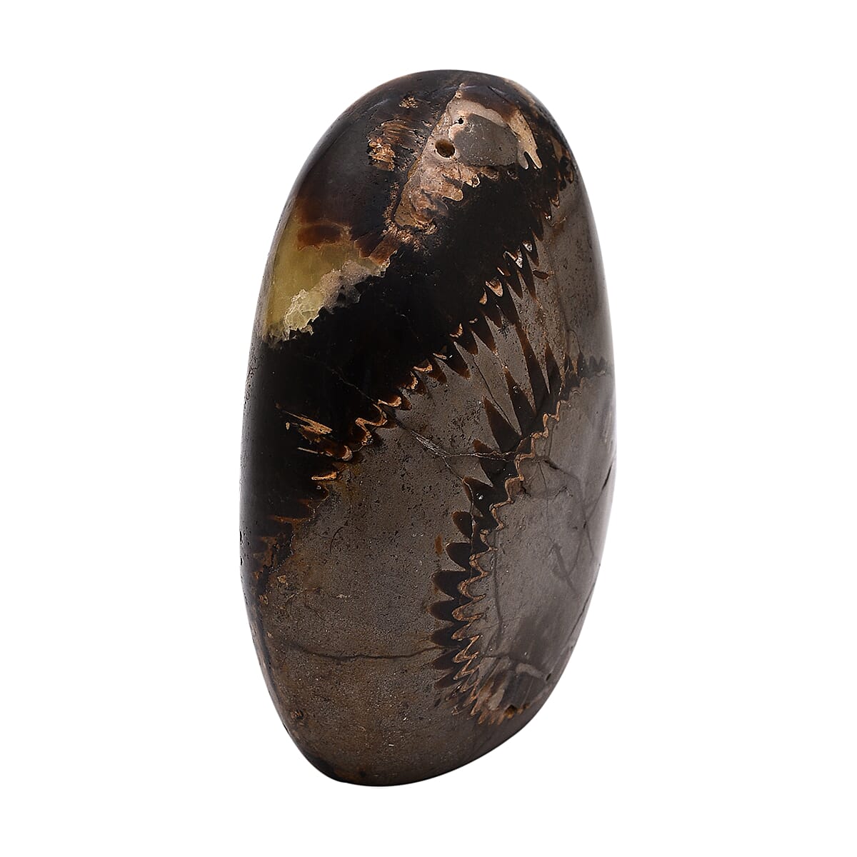 Tucson Rare Finds - Polished Natural Dragon Skin Septarian Freeform Figurine - 4250 Ct.