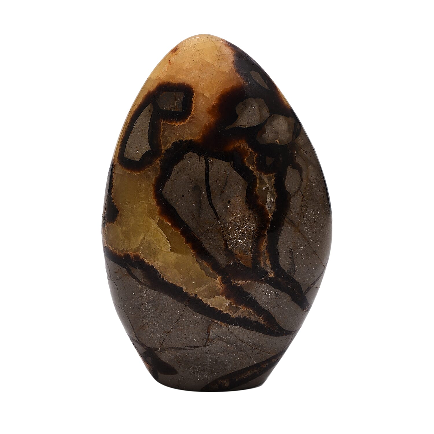 Tucson Rare Finds - Natural Polished Dragon Skin Septarian Freeform Figurine - 5500 Ct.