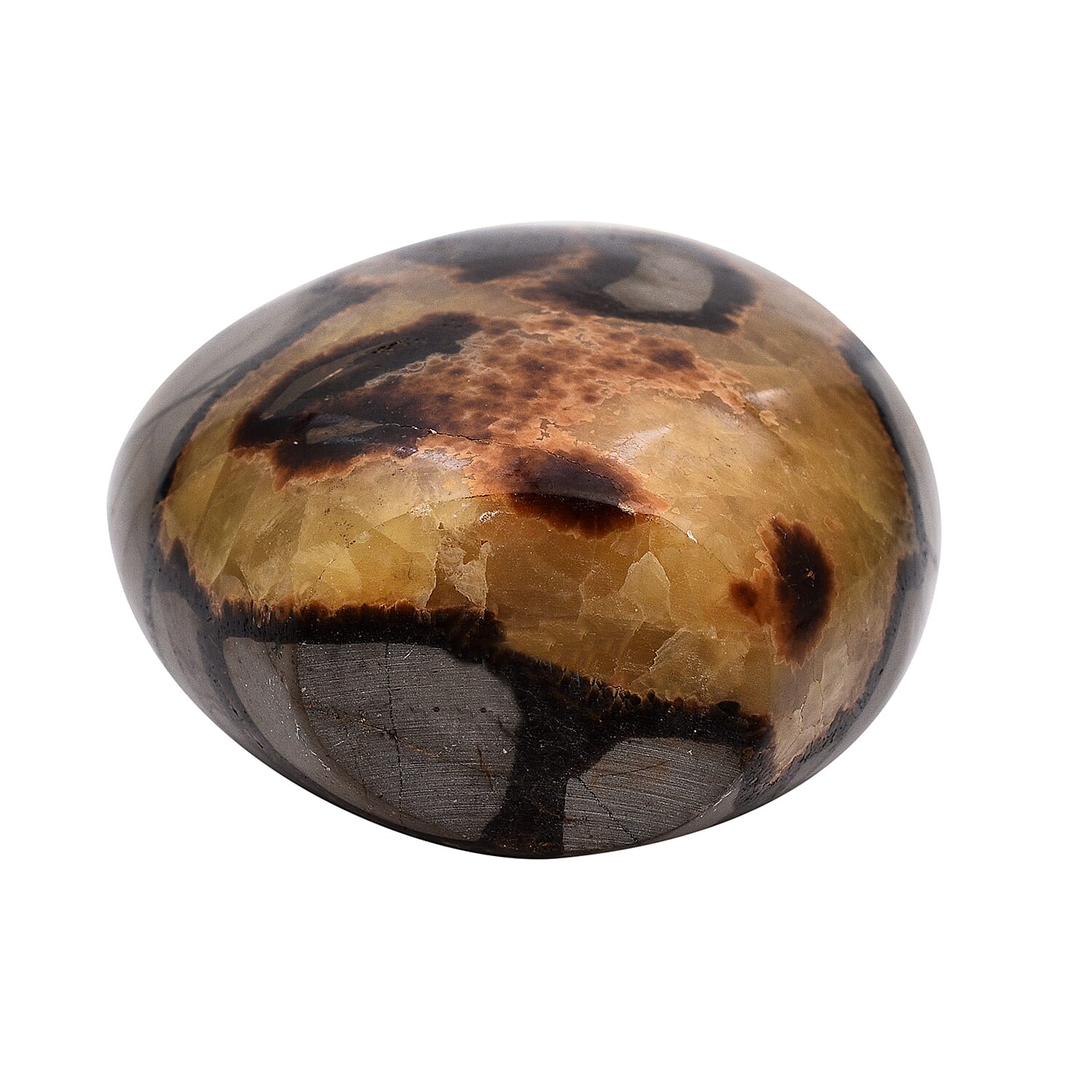 Tucson Rare Finds - Natural Polished Dragon Skin Septarian Freeform Figurine - 5500 Ct.