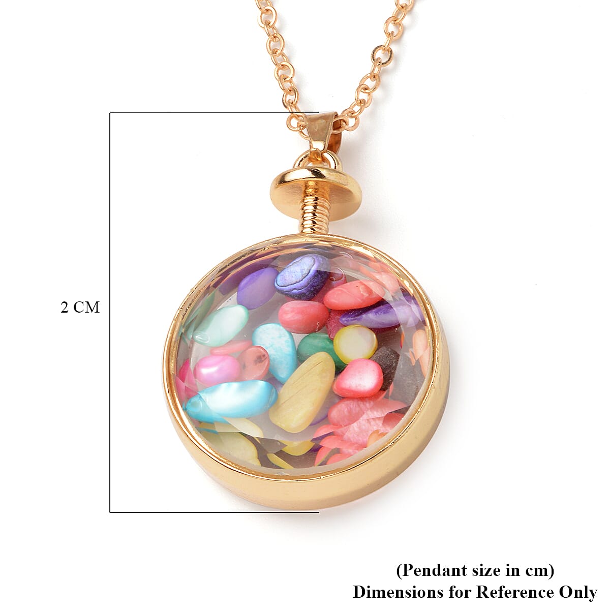 Set of 2 -  Multi Colour Puka Shell and Dry Flower Pendant with Chain (Size 24) in Gold Tone