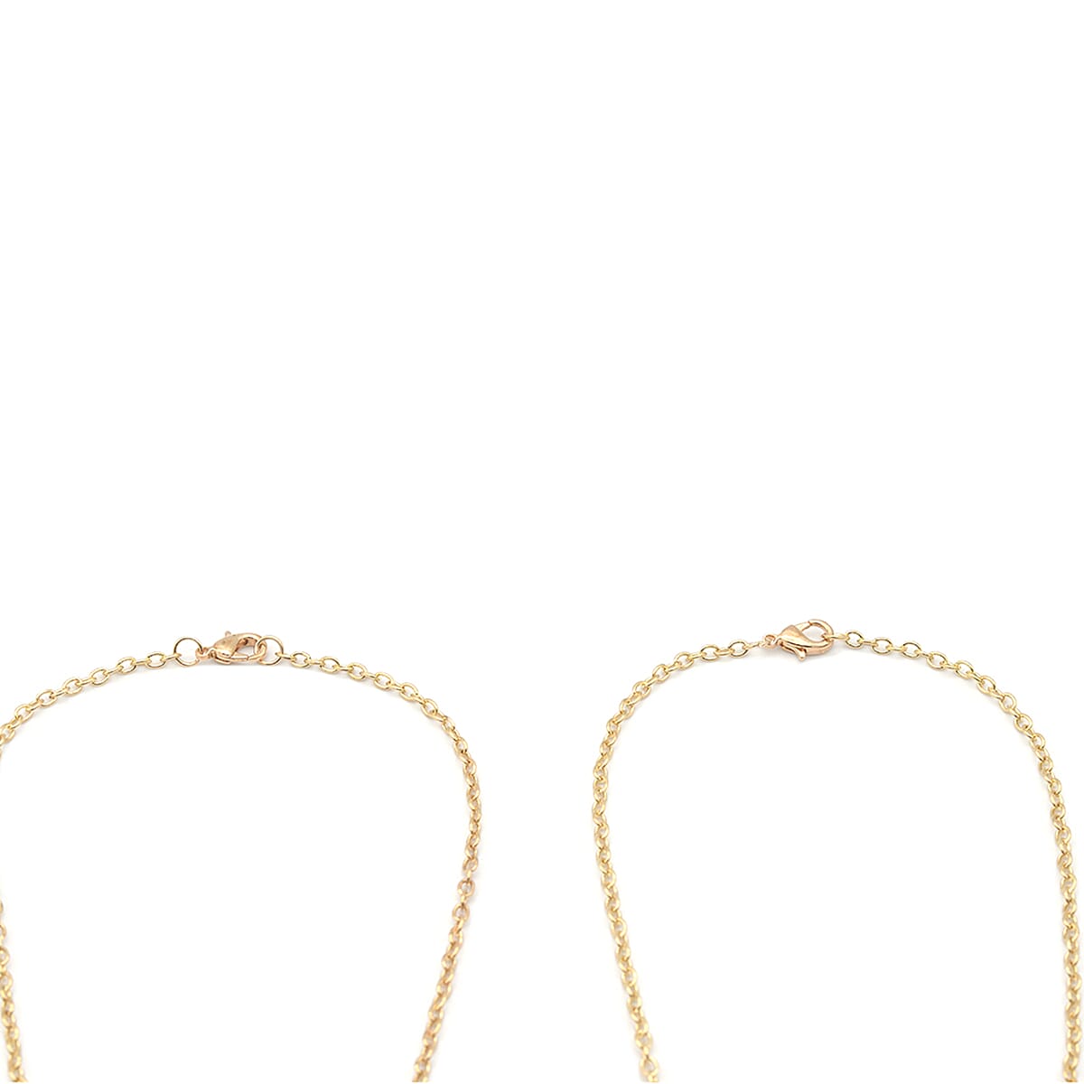 Set of 2 -  Multi Colour Puka Shell and Dry Flower Pendant with Chain (Size 24) in Gold Tone