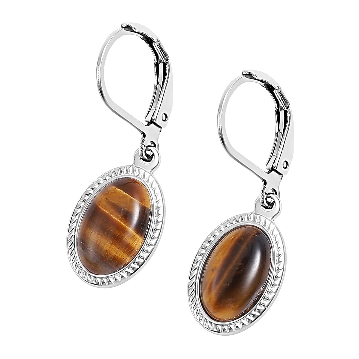 2 Piece Set - Yellow Tigers Eye Bracelet (Size 6.5-11 Inch Adjustable) and Earrings With Lever Back in Stainless Steel