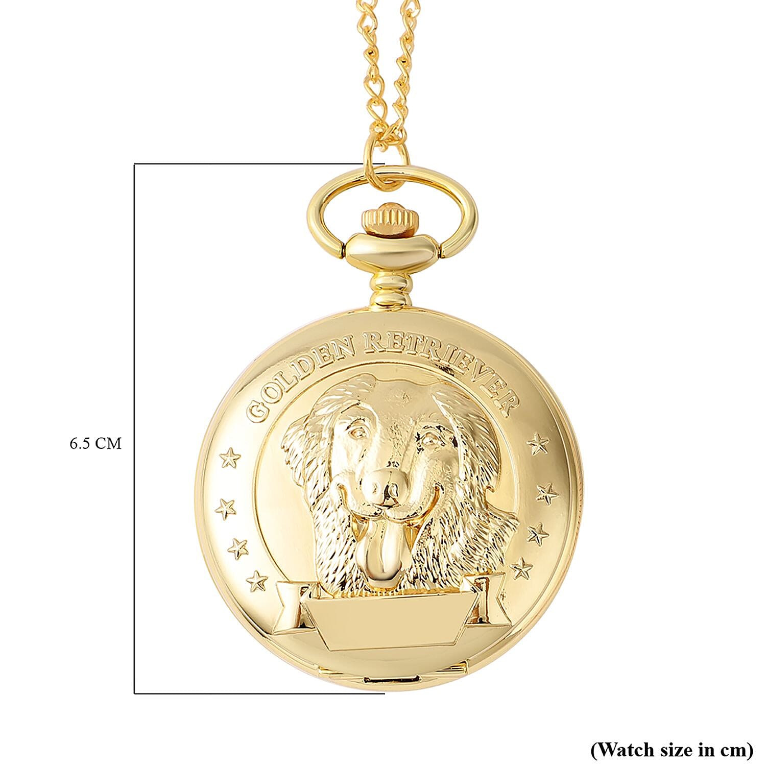 STRADA Japanese Movement Retriever Pattern Water Resistant Pocket Watch (Size 31) in Gold Tone