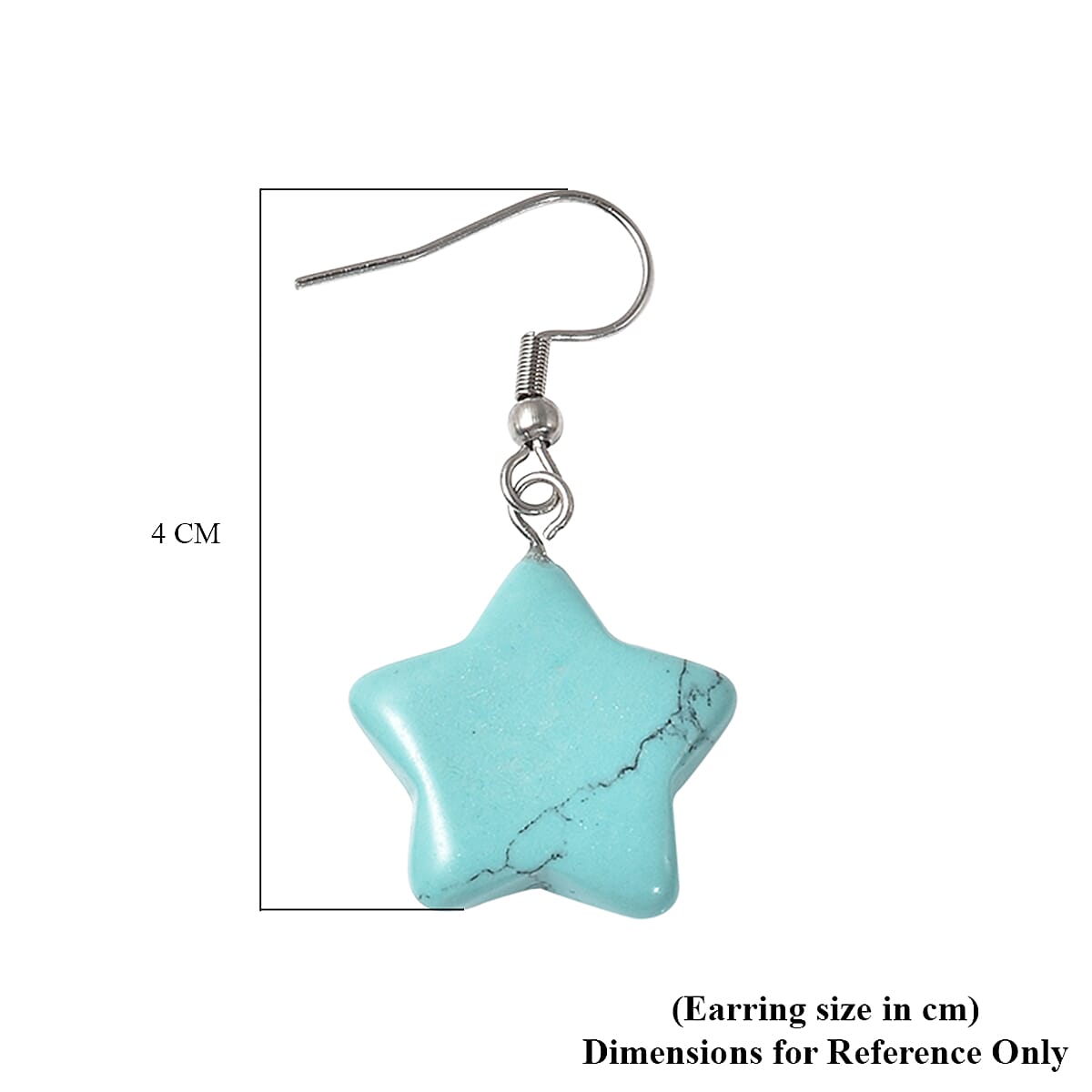 Set of 2 - Dalmation Jasper and Blue Howlite Star Hook Earrings in Stainless Steel