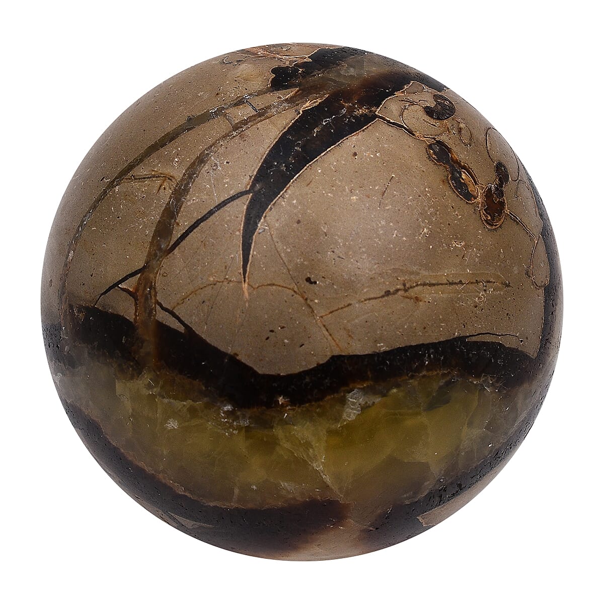 Tucson Rare Finds - Natural Dragon Skin Septarian Sphere - 2000 Ct.