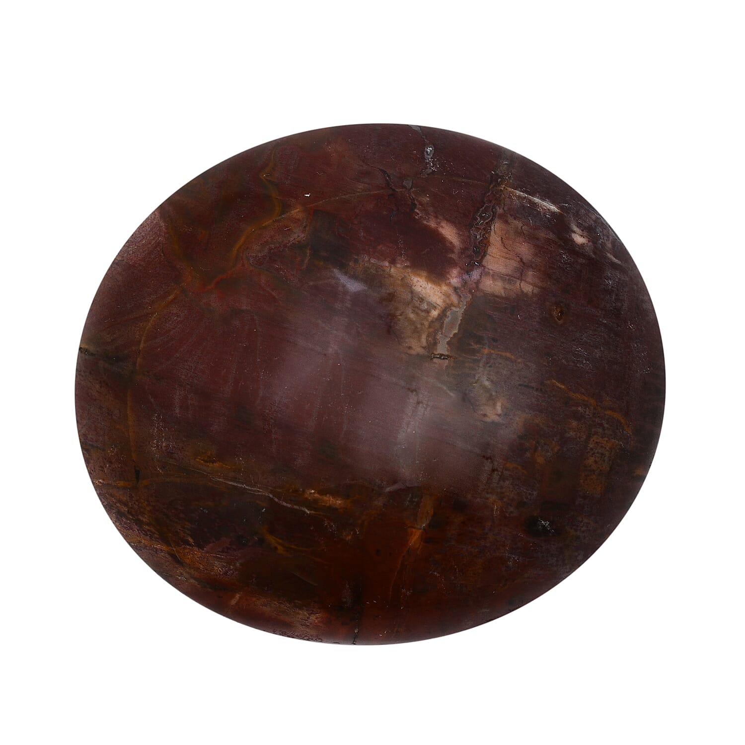 Tucson Rare Finds - Natural Polished Petrified Fossilised Wood Pebble -  650 Ct.