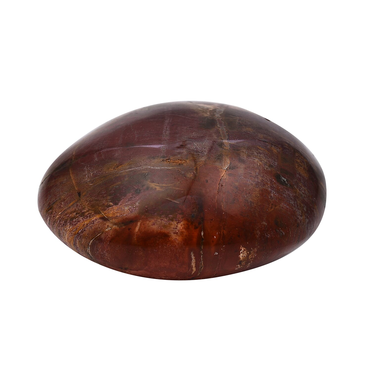 Tucson Rare Finds - Natural Polished Petrified Fossilised Wood Pebble -  650 Ct.