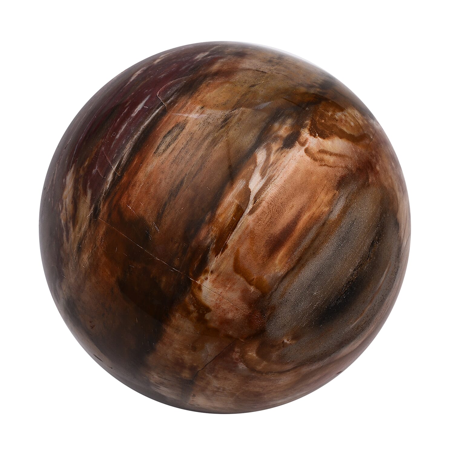 Tucson Rare Finds - Natural Polished Petrified Fossilised  Wood Sphere - 3500 Ct.