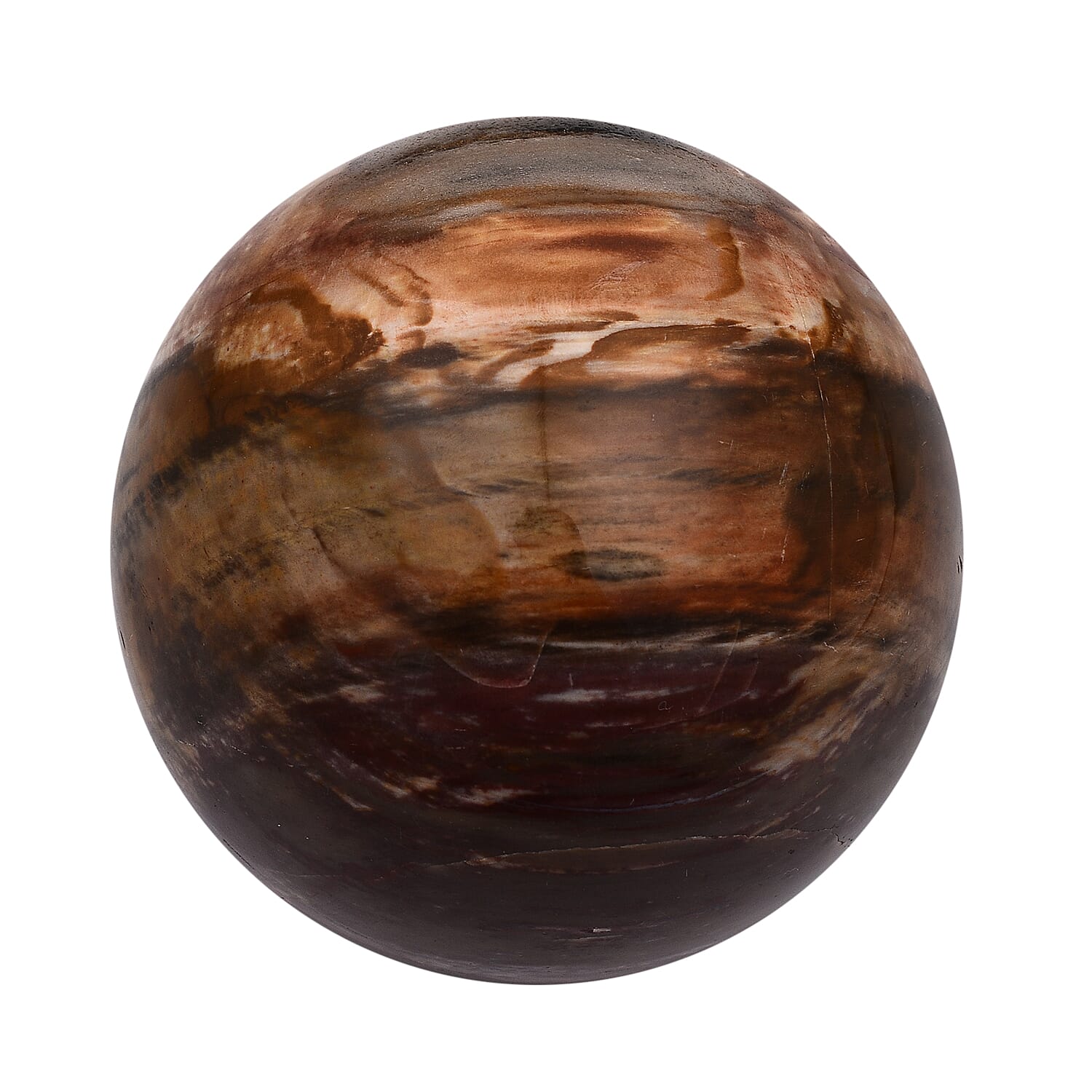 Tucson Rare Finds - Natural Polished Petrified Fossilised  Wood Sphere - 3500 Ct.