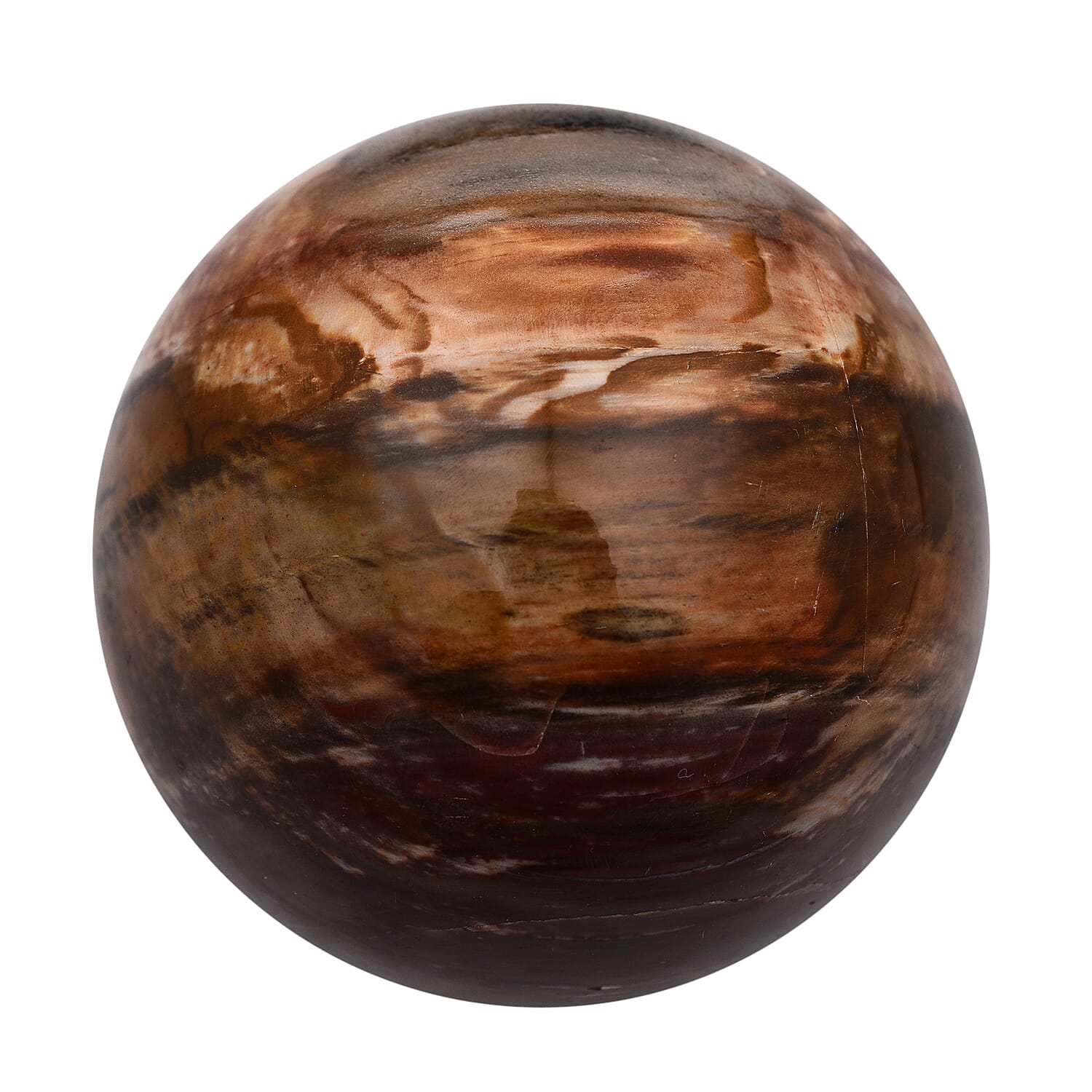 Tucson Rare Finds - Natural Polished Petrified Fossilised  Wood Sphere - 3500 Ct.