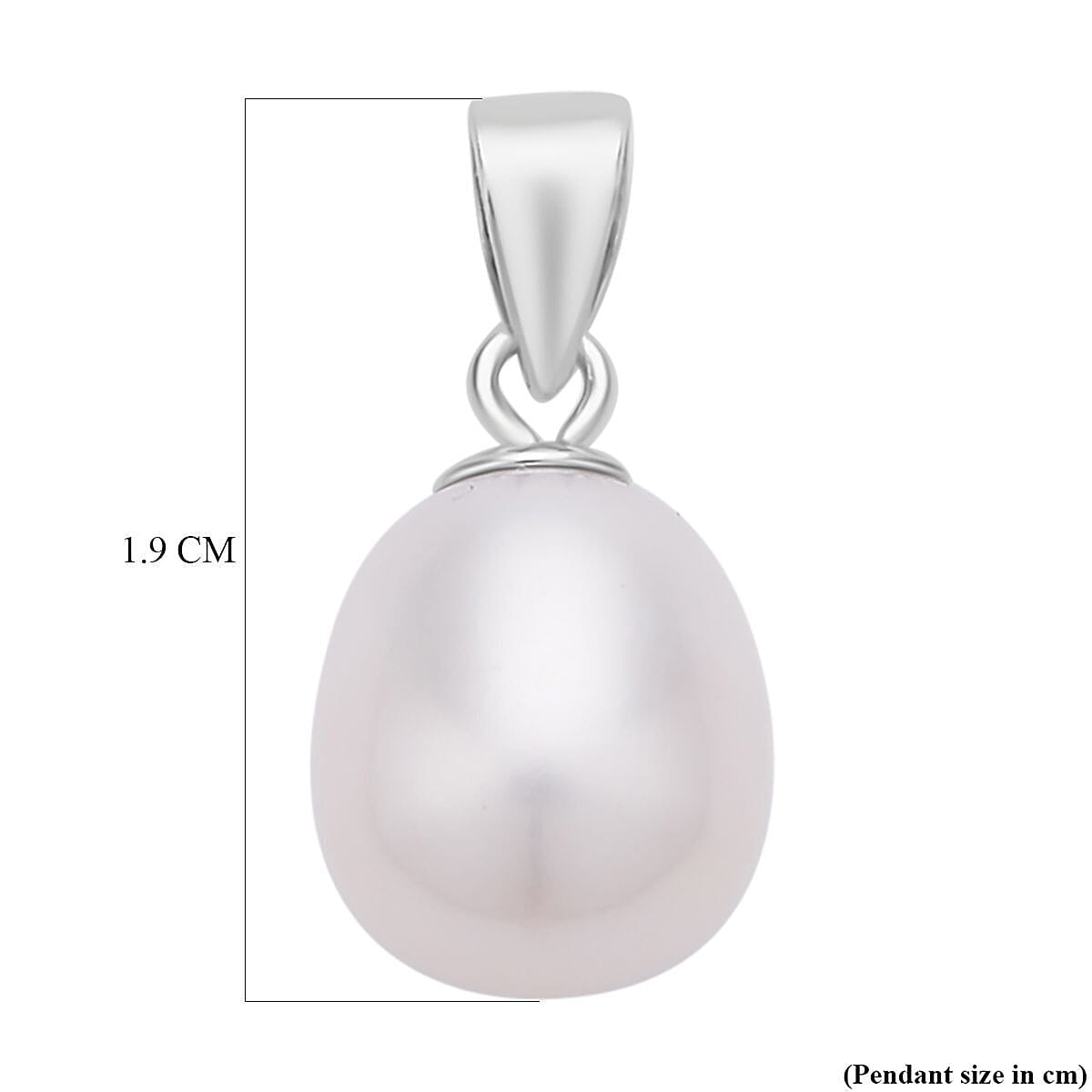 2 Piece Set - White Fresh Water Pearl Pendant (With Clasp) and Lever Back Earrings in Rhodium Overlay Sterling Silver